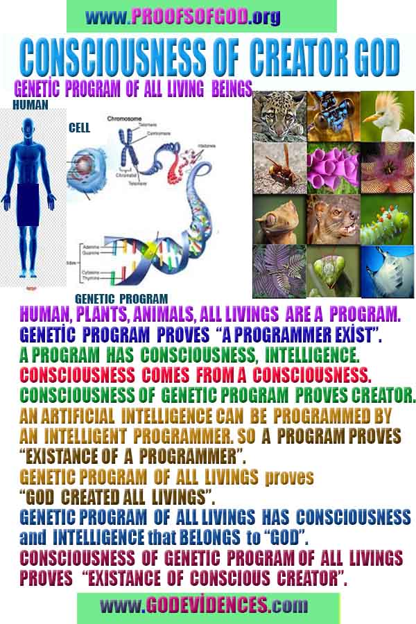 Proofs and Evidences of God, God exists proofs, God is real proofs and evidences, Proofs of God's existance