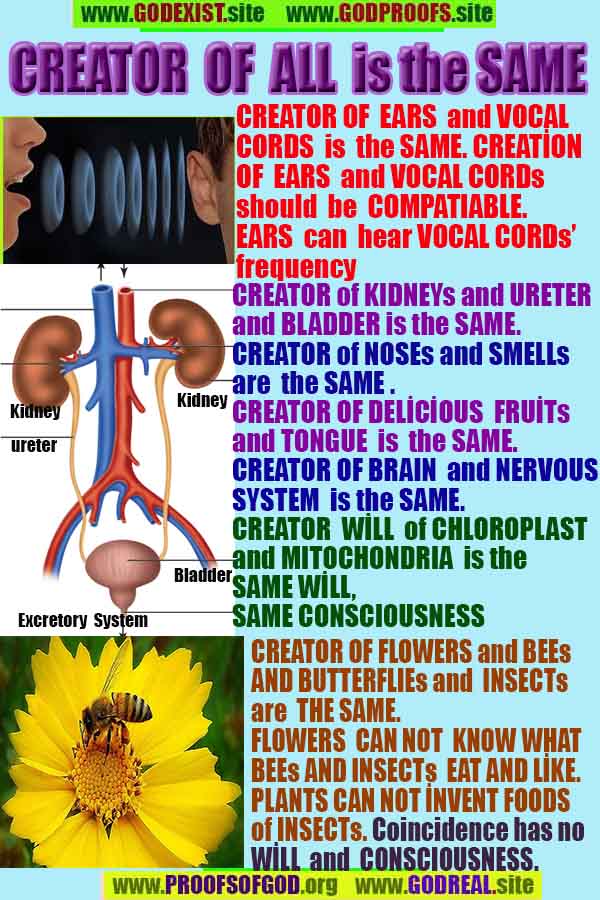 Proofs and Evidences of God, God exists proofs, God is real proofs and evidences, Proofs of God's existance