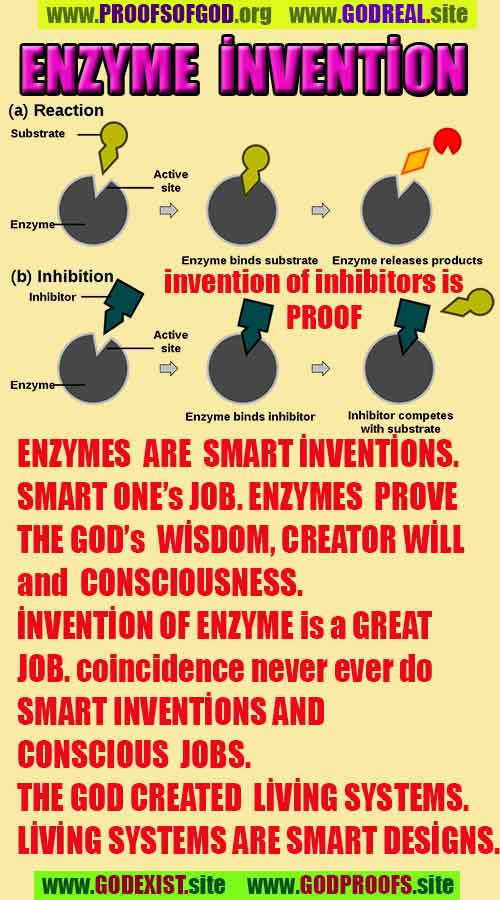 Proofs and Evidences of God, God exists proofs, God is real proofs and evidences, Proofs of God's existance