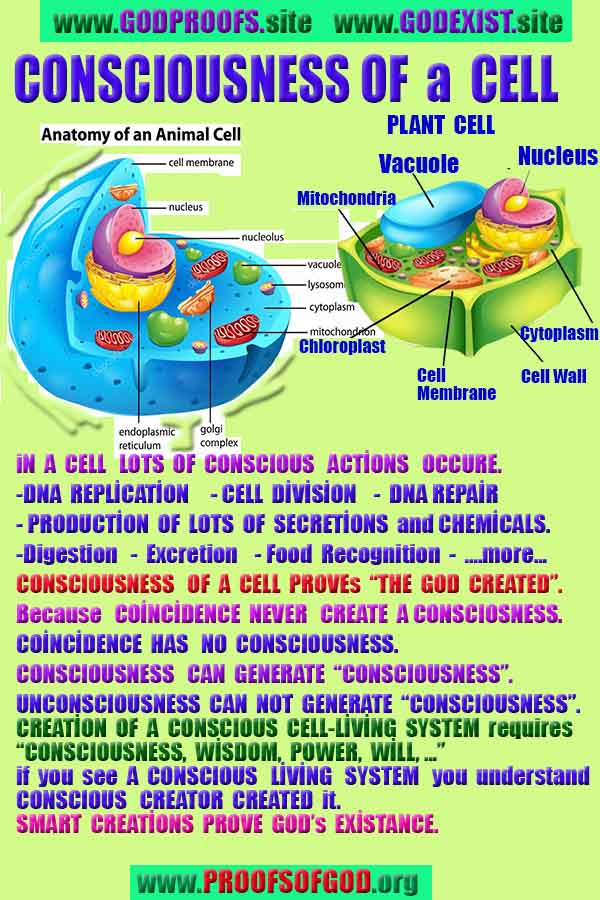 Proofs and Evidences of God, God exists proofs, God is real proofs and evidences, Proofs of God's existance