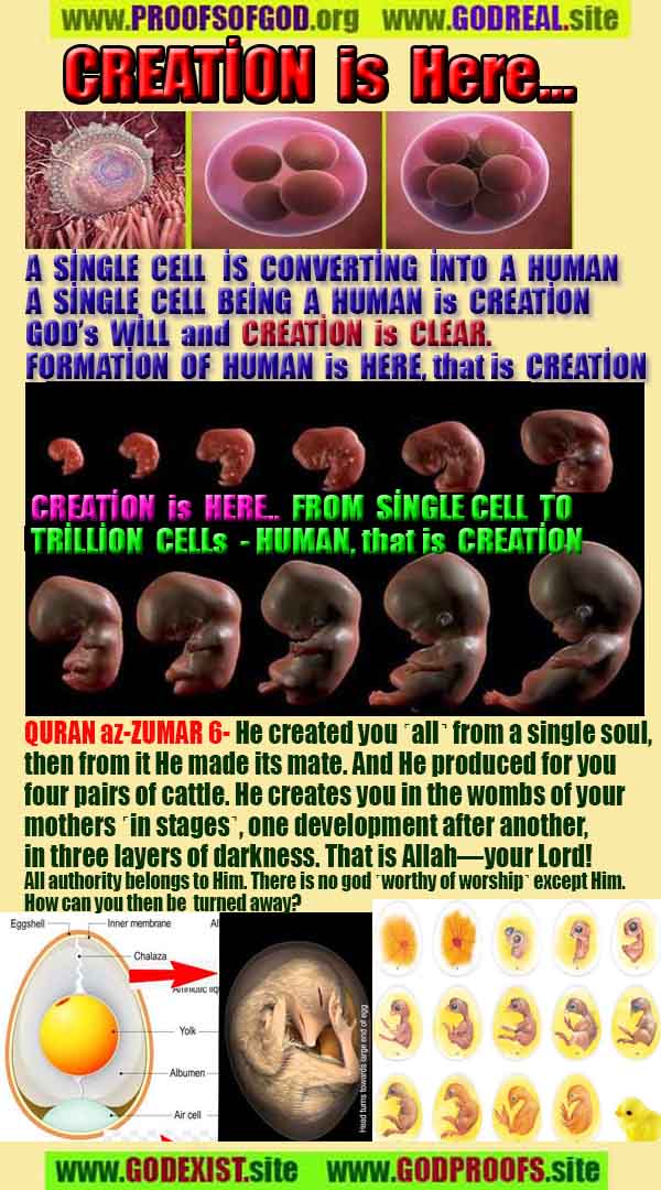 Proofs and Evidences of God, God exists proofs, God is real proofs and evidences, Proofs of God's existance